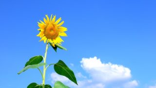 東京ロジマッチによる完全子会社化のお知らせ